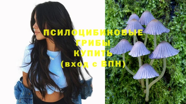 эйфоретик Абдулино