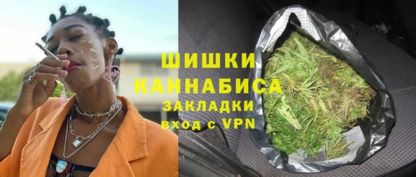 крисы Абаза